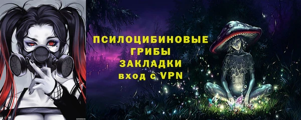 соль ск Елизово