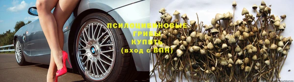 соль ск Елизово
