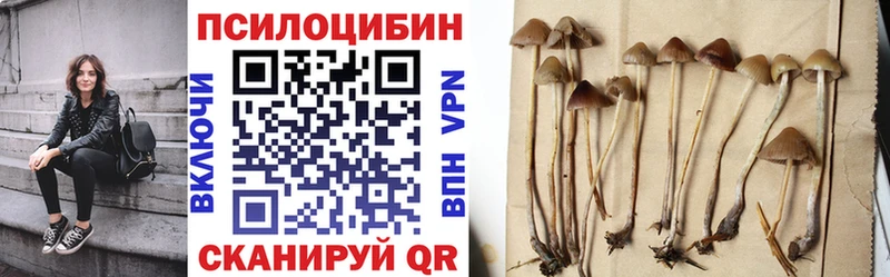 Галлюциногенные грибы прущие грибы хочу наркоту Ставрополь