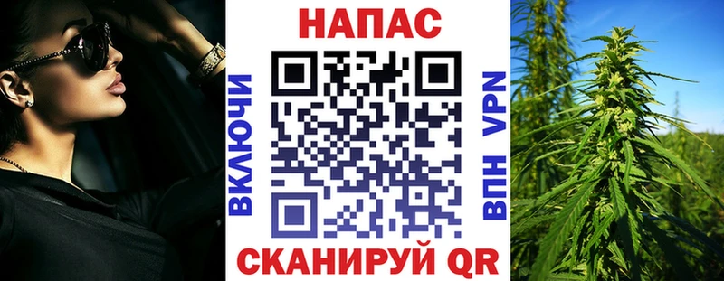 Бошки Шишки гибрид  hydra зеркало  Ставрополь 